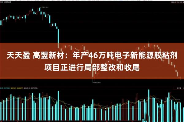 天天盈 高盟新材：年产46万吨电子新能源胶粘剂项目正进行局部整改和收尾